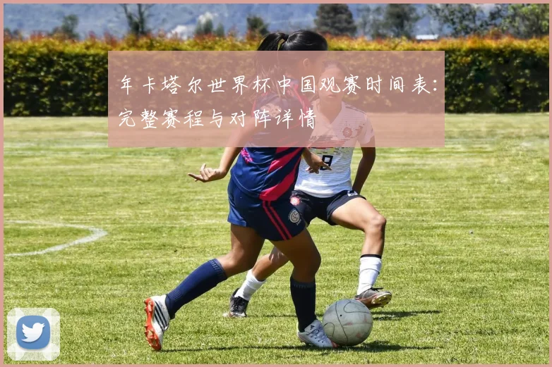 年卡塔尔世界杯中国观赛时间表:完整赛程与对阵详情